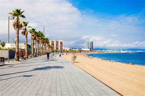 playa gay barcelona|A complete guide to the best gay beaches in Barcelona